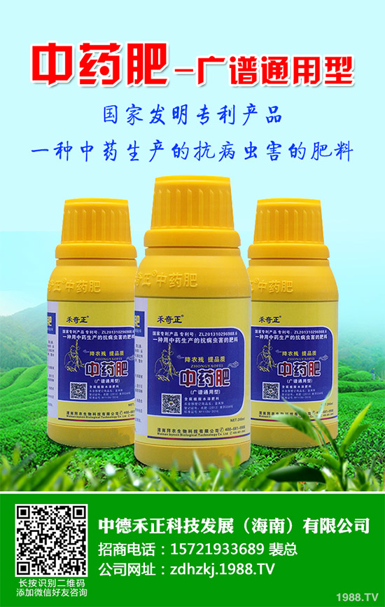 金線蓮有哪些營養(yǎng)價值？金線蓮的功效作用及食用方法