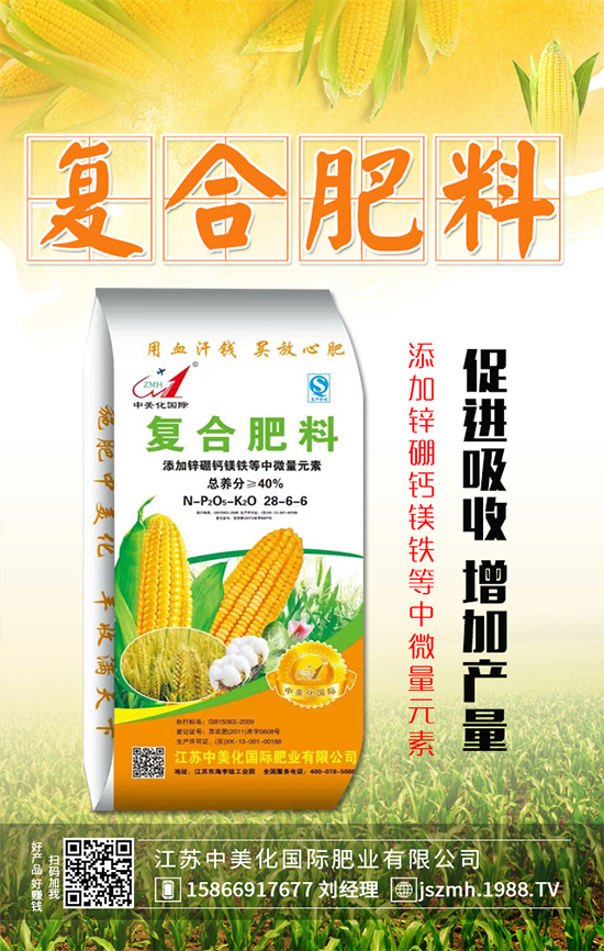 2019年12月31日今日最新復(fù)合肥價格行情動態(tài)早報！