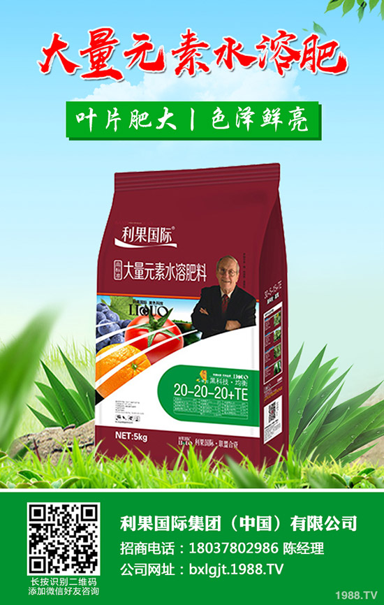 吃鐵皮石斛有什么好處，鐵皮石斛的功效與作用有哪些