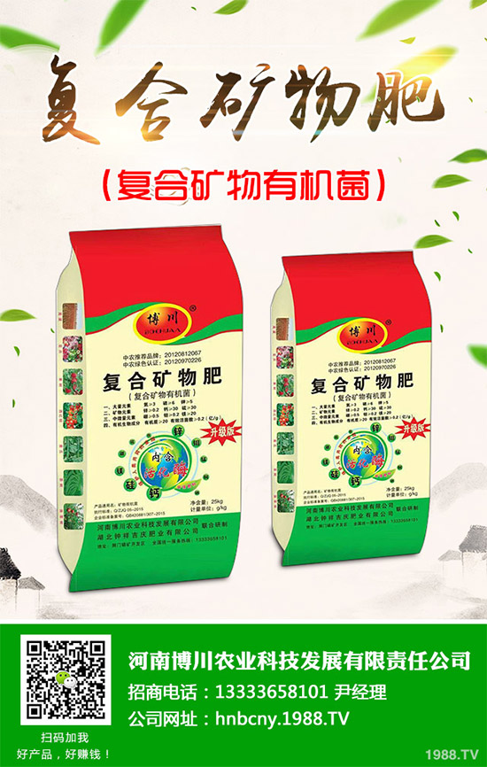 野生金線蓮有哪些神奇功效？野生金線蓮的功效及用法