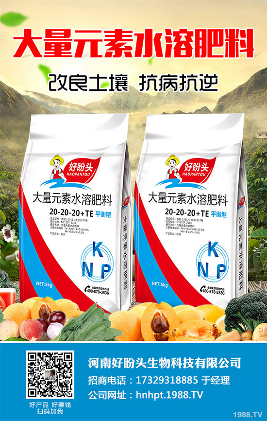 你所不知道的金線蓮，輕松排除人體11種毒素！