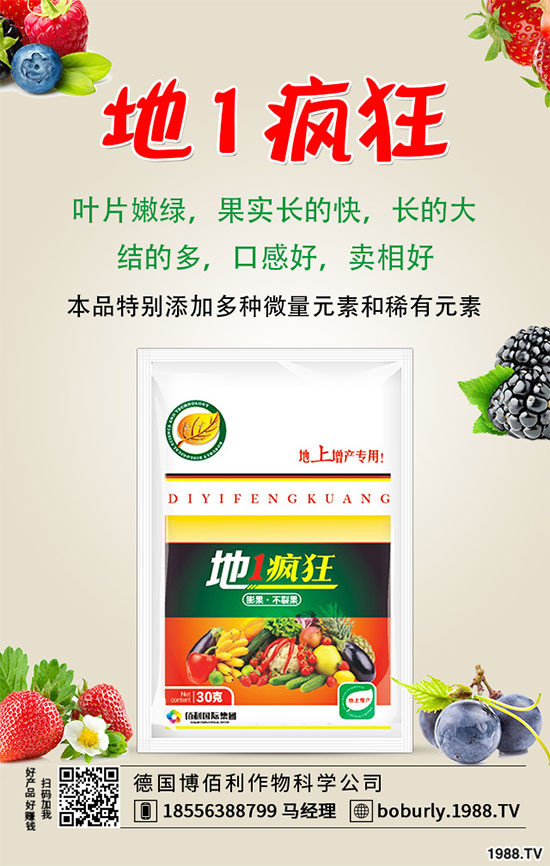 山藥豆的功效與作用有哪些，哪些人不適合吃山藥豆？