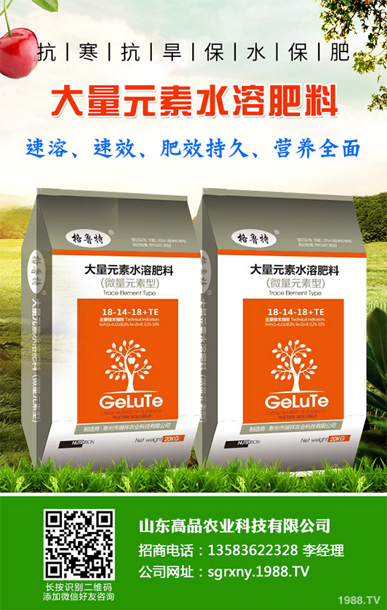 木耳菜如何過冬？木耳菜冬季管理措施
