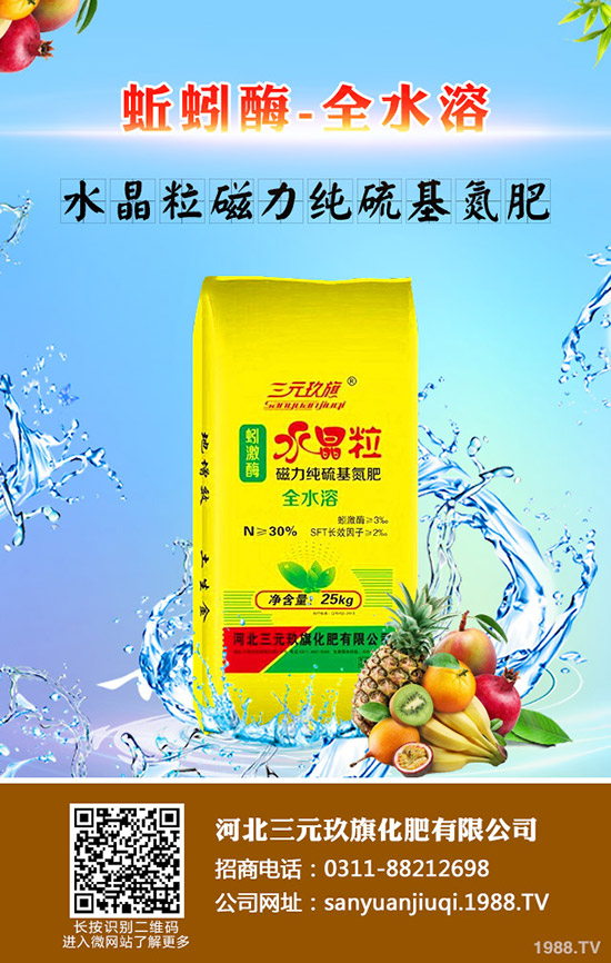 棉花播種前需要準(zhǔn)備哪些工作，棉花播種要點有哪些？