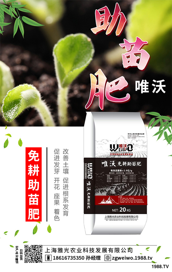     山藥什么時(shí)候采收？山藥的貯藏方法有哪些？