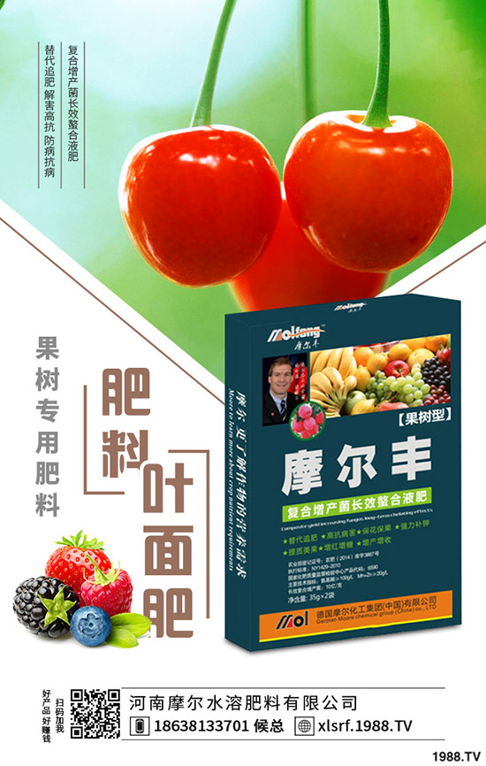 黃精種植到底掙不掙錢？黃精種植要點分析！