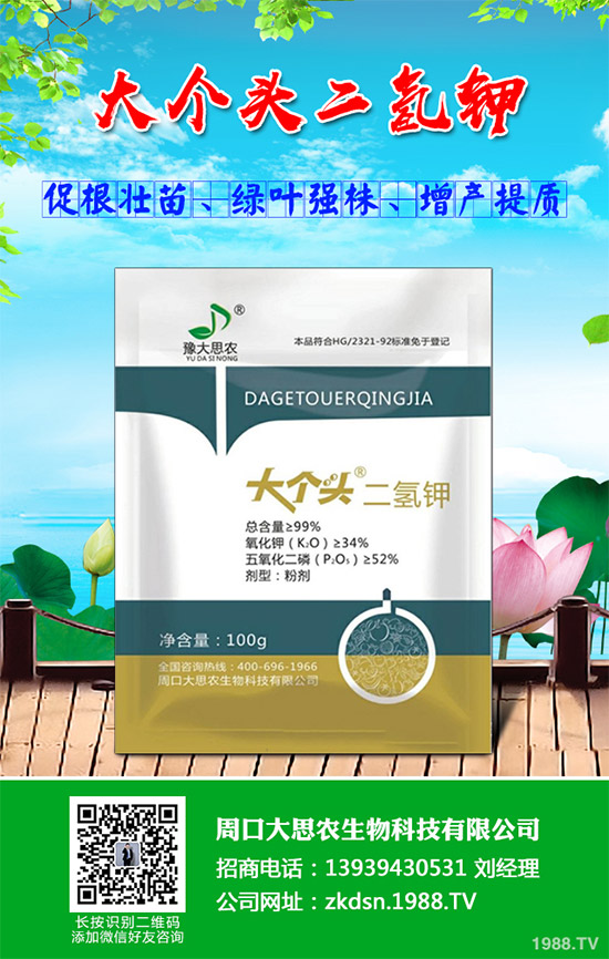 洋薊該如何種植？洋薊高產(chǎn)種植技術(shù)方案