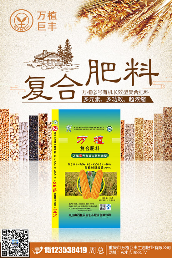 洋薊該如何種植？洋薊高產(chǎn)種植技術(shù)方案