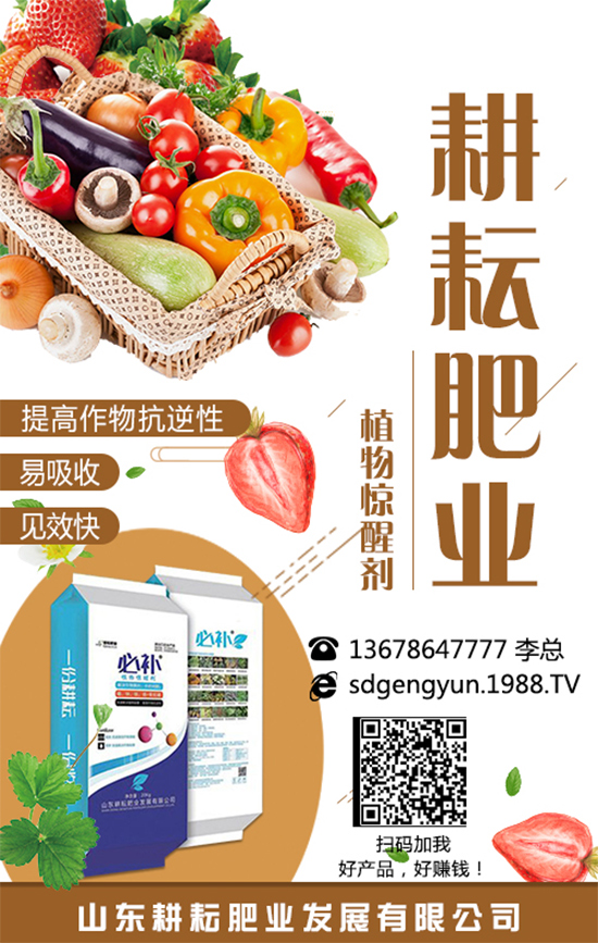 尿素價格持續(xù)下滑！今日局部區(qū)域尿素市場行情2019年8月13日
