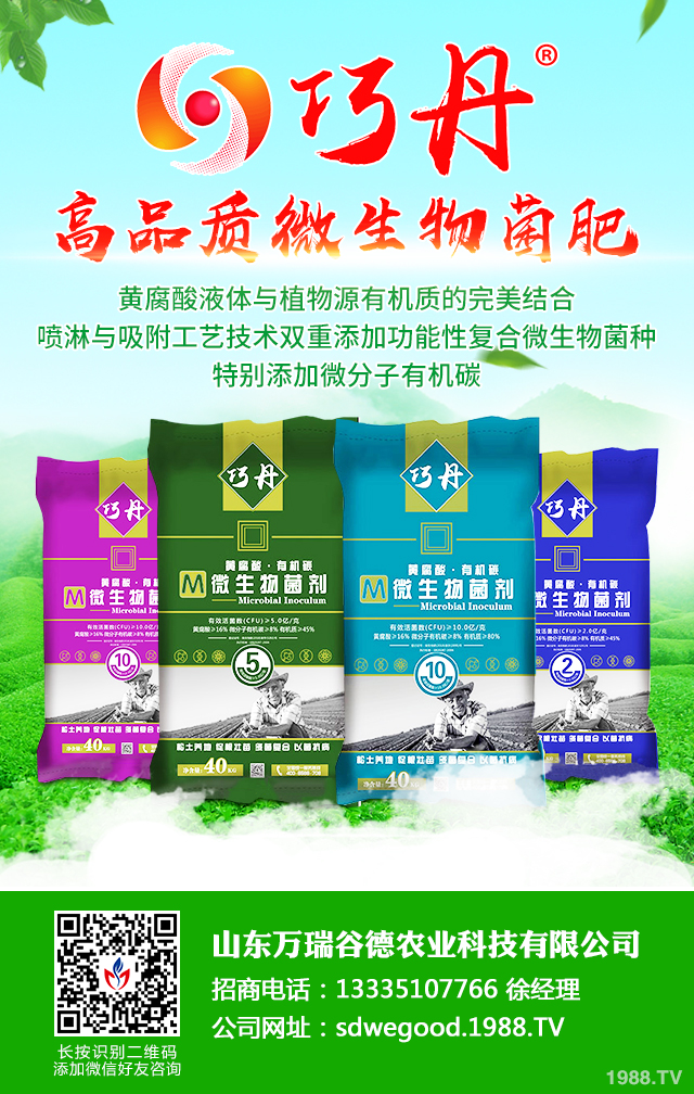 絲瓜早衰怎么防治效果好？絲瓜早衰防治方法