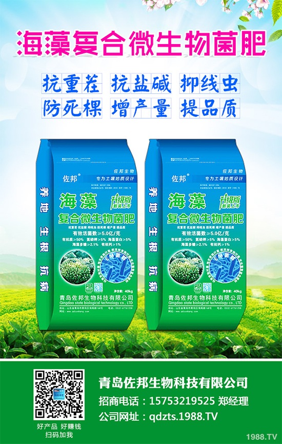     芹菜是日常生活中常見的蔬菜品種，對種植環(huán)境要求相對較高，只有在黏性土壤上才可以正常的生長。那么，芹菜什么時候種植比較好？大棚芹菜該如何種植呢？