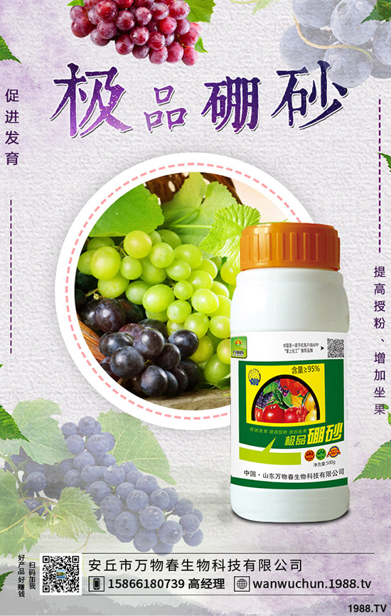 �����ηNֲ����轷Nֲ�l������Щ��