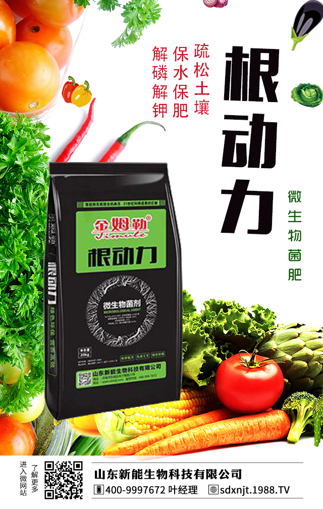馬鈴薯需肥量大，如何給馬鈴薯施肥？