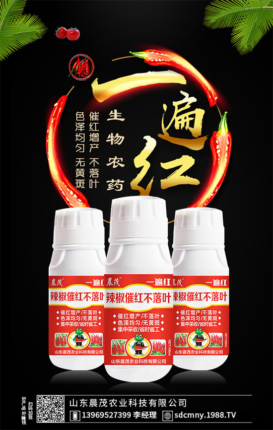辣椒催紅早熟早上市！辣椒催紅不落葉，就用“一遍紅”！效果好實力強！
