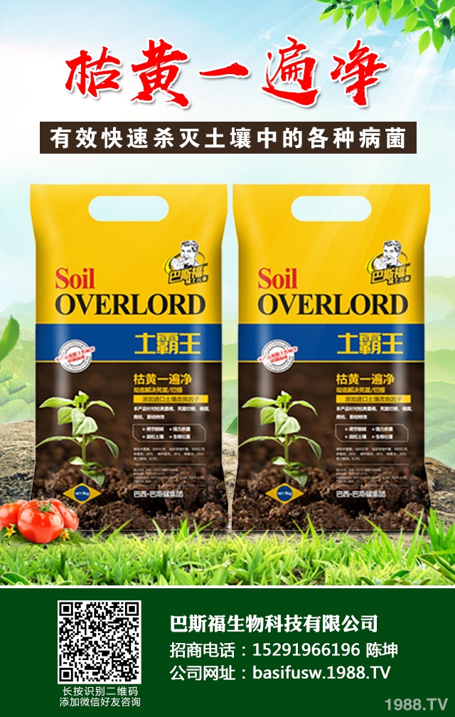 小麥葉子發(fā)黃怎么辦？小麥葉子發(fā)黃防治技巧