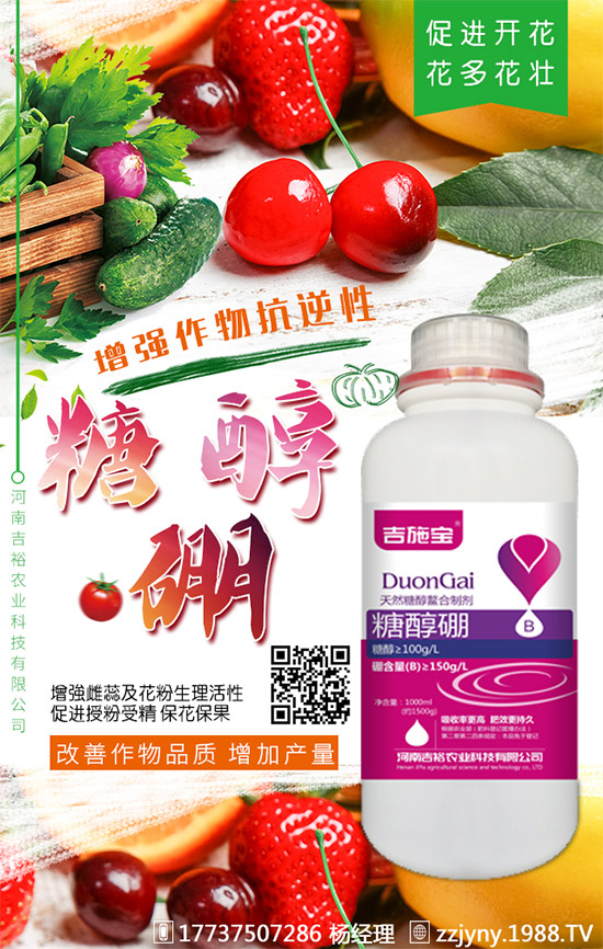 葡萄缺硼在果上葉上表現(xiàn)癥狀！什么時(shí)候補(bǔ)硼？葡萄補(bǔ)硼時(shí)間及技術(shù)！