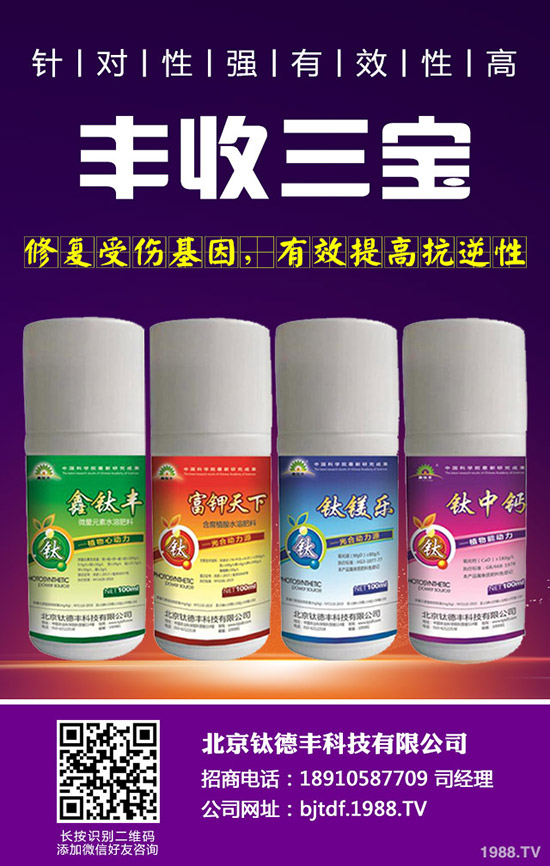 大蒜如何施肥才能高產(chǎn)，大蒜高產(chǎn)施肥技術(shù)！
