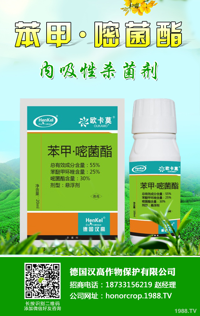 辣椒爛果病怎么辦？關(guān)于辣椒爛果病防治措施