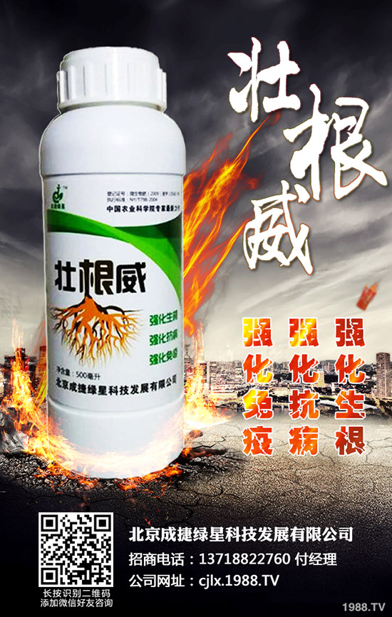 青椒的種植方法有哪些？青椒種植過程中需要注意的幾大問題