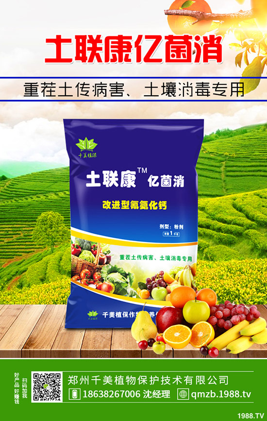 復合肥價格
