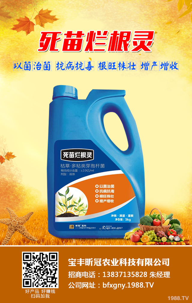 蔬菜苗期立枯病怎么辦？蔬菜苗期立枯病防治技巧