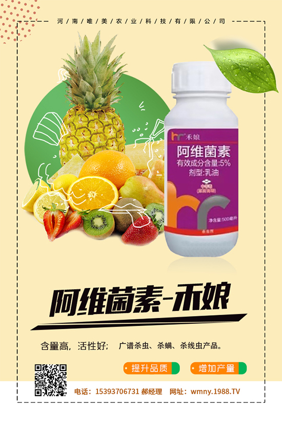秋葵怎么種植？秋葵的種植技術(shù)