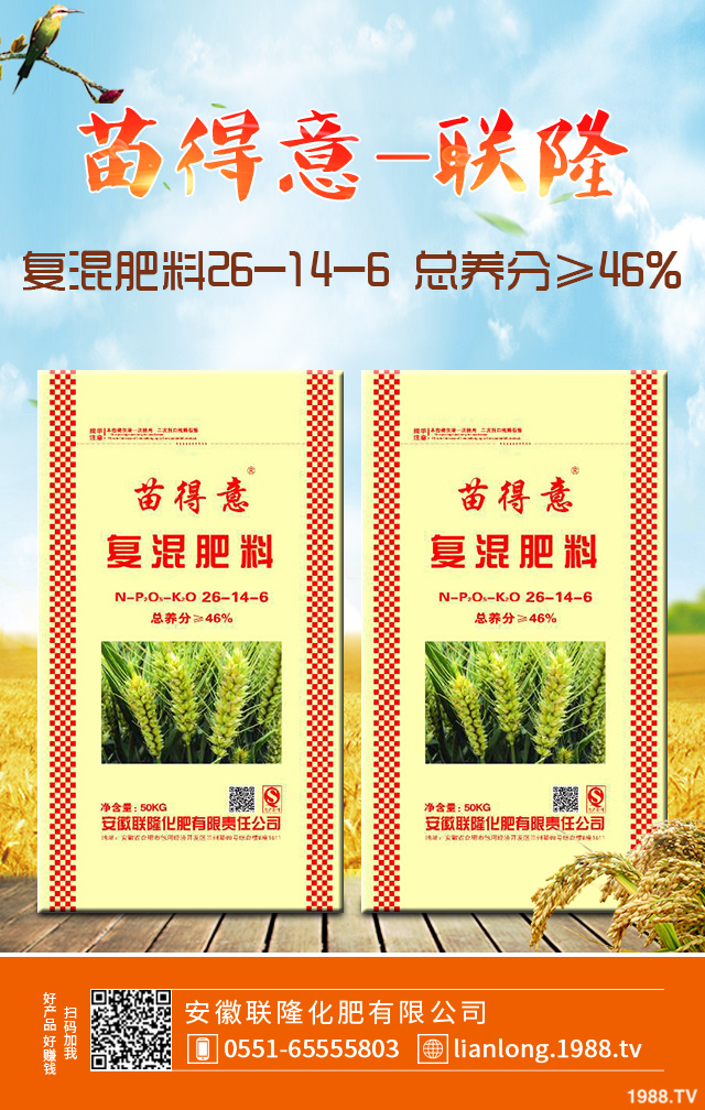 小麥怎么管理效果好？小麥成熟期田間管理