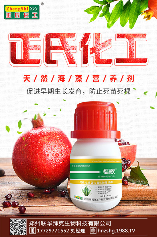 金銀花有什么作用，金銀花的功效與食用禁忌！