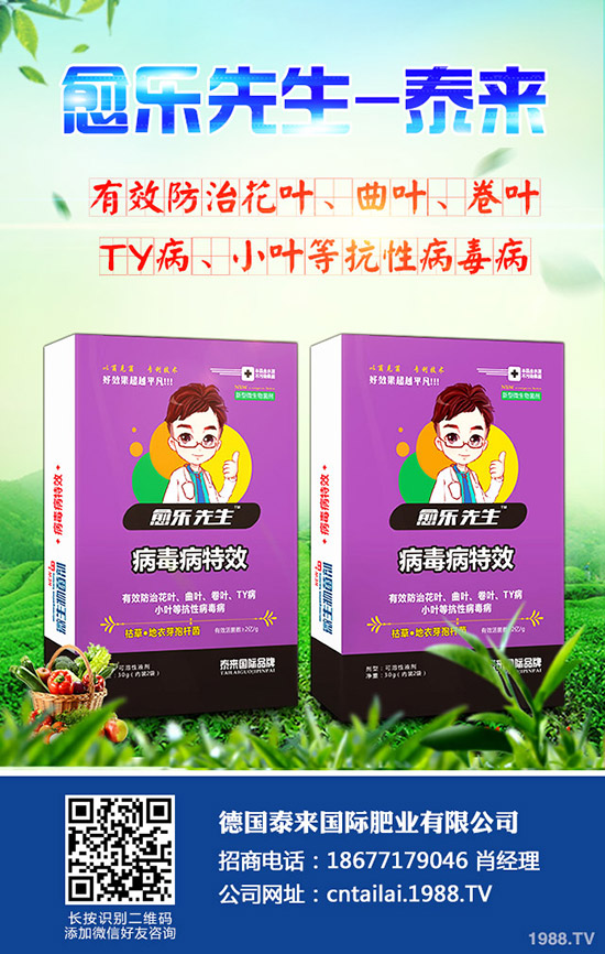     2019年9月19日今日最新復(fù)合肥市場(chǎng)價(jià)格行情走勢(shì)預(yù)測(cè)早訊