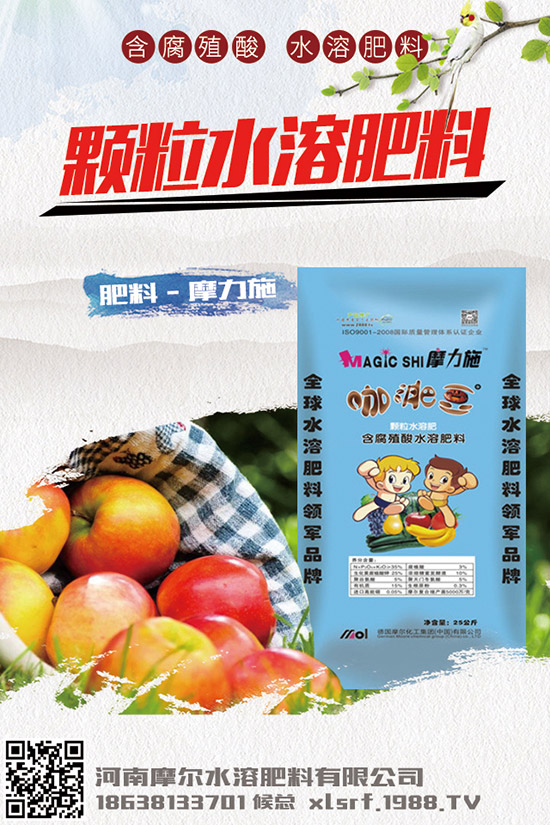 救心菜怎樣種植,救心菜的種植方法與日常管理