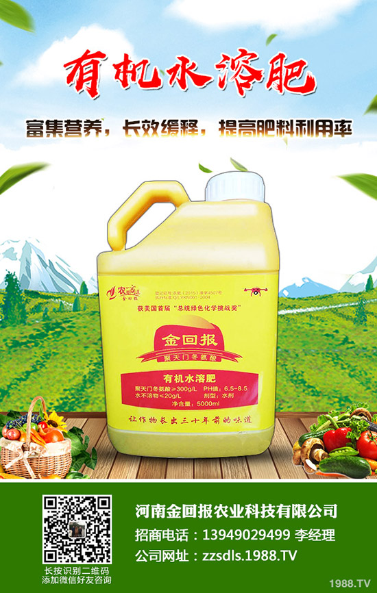 苦蕎麥?zhǔn)裁磿r候種植？苦蕎麥高產(chǎn)種植技術(shù)！