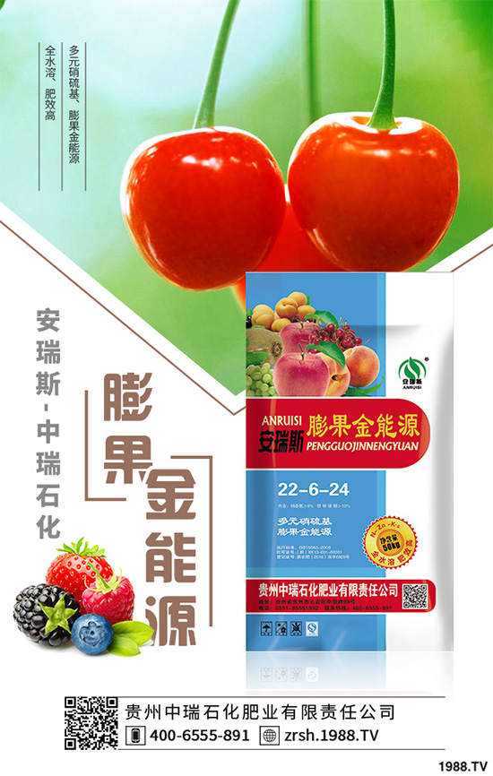 萵苣該如何育苗？萵苣苗期管理技術(shù)要點(diǎn)