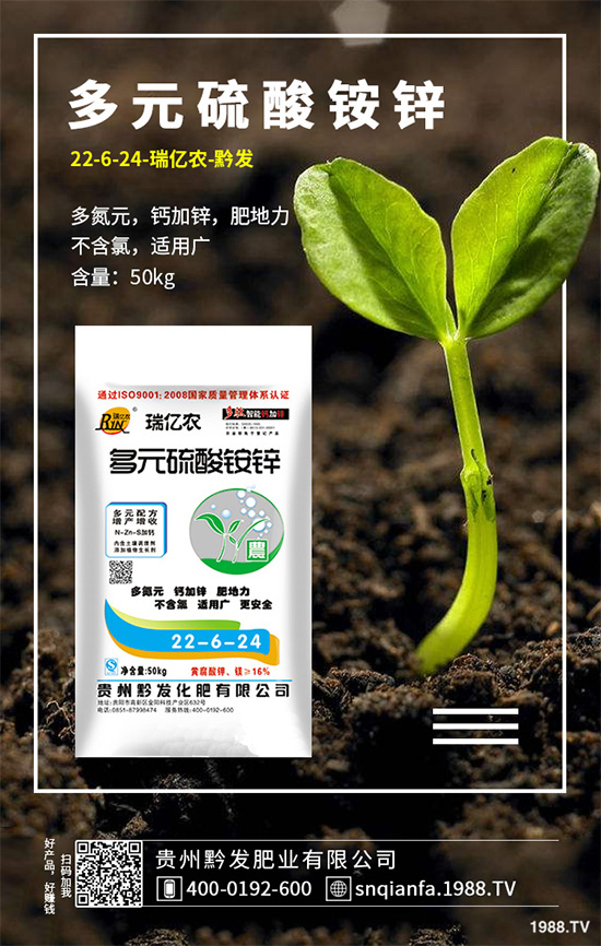萵苣該如何育苗？萵苣苗期管理技術(shù)要點(diǎn)
