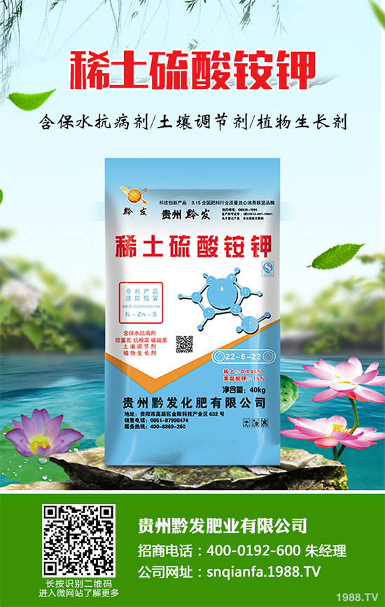 萵苣什么時候種植？萵苣高產(chǎn)種植方案