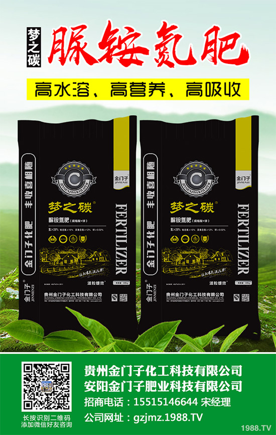 萵苣什么時候種植？萵苣高產(chǎn)種植方案