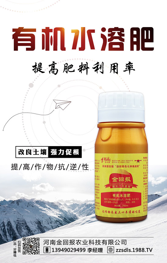 芒果什么時(shí)候種植？芒果的高產(chǎn)種植方法！