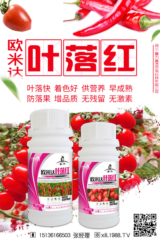 立秋后還能種植韭菜嗎？秋后韭菜管理技巧！
