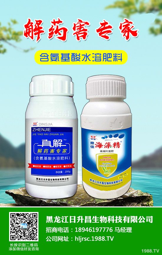 蘋果輪紋病有什么危害，蘋果輪紋病的防治方法！