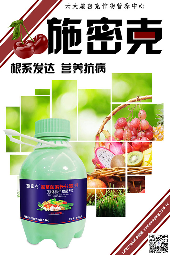 大蔥霜霉病危害巨大，到底是如何引起的？大蔥霜霉病防治措施