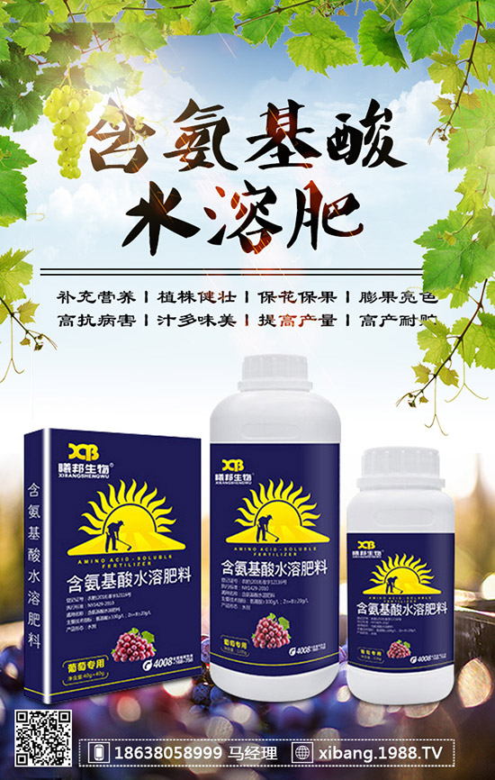 櫻桃蘿卜什么時(shí)候種植？櫻桃蘿卜是否需要澆水