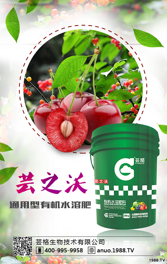 大蔥灰霉病有哪些危害？該如何防治？大蔥灰霉病防治措施