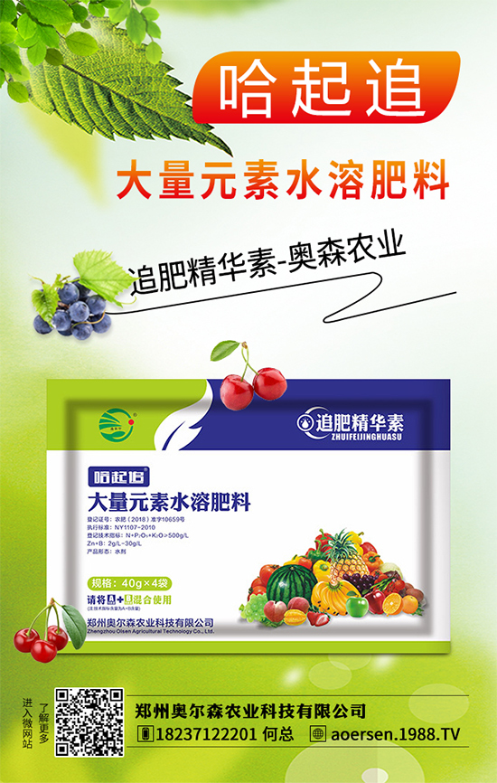大蔥灰霉病有哪些危害？該如何防治？大蔥灰霉病防治措施