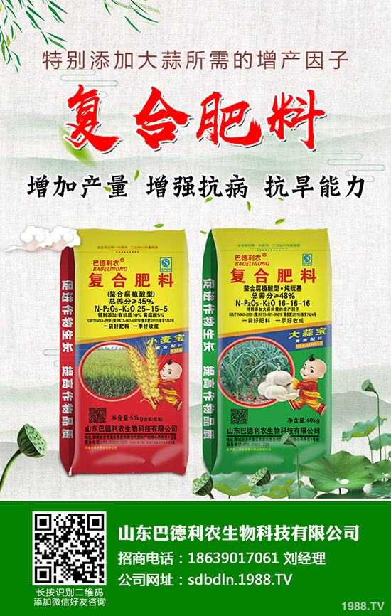     今日最新國內(nèi)復(fù)合肥出廠參考報(bào)價(jià)及后市預(yù)測(cè)2019-9-20