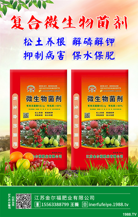 豌豆什么時(shí)候種植？該怎么種？豌豆種植時(shí)間及種植技術(shù)要點(diǎn)