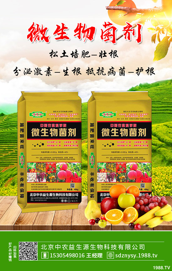    大棚芹菜常見病害及蟲害有哪些？防治措施及藥劑使用推薦！