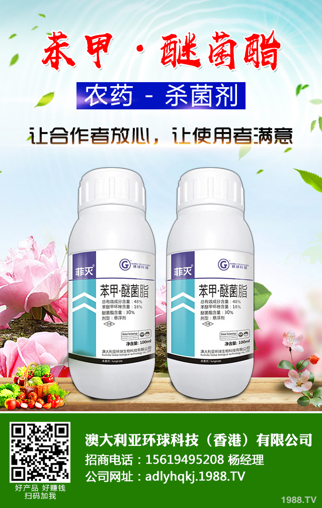 大棚黃瓜疫病怎么辦？大棚黃瓜疫病防治技巧