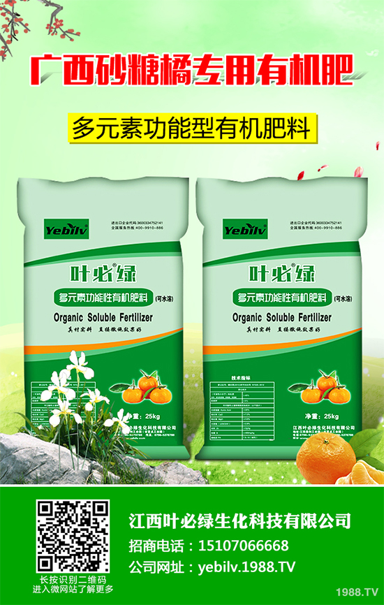     �㶹���ճ������г�Ҋ���߲����I�B(y��ng)�rֵ�S���������˂�ϲ�������㶹�Nֲ�^�����y������F(xi��n)һЩ���������u�������㶹�P���Ƿǳ���Ҋ��һ�N����������r���ξ͕����º��m�����؜p�a(ch��n)����ô���㶹�P������ЩΣ���Y������ԓ��η��Σ�