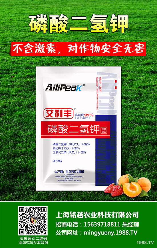 �㶹����������ЩΣ�����F(xi��n)��ԓ���ӷ��Σ��㶹���������η���