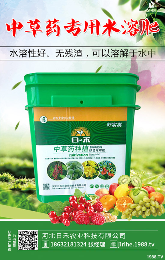 洋蔥種植想高產(chǎn)，種植方法很重要！洋蔥種植技術(shù)要點(diǎn)