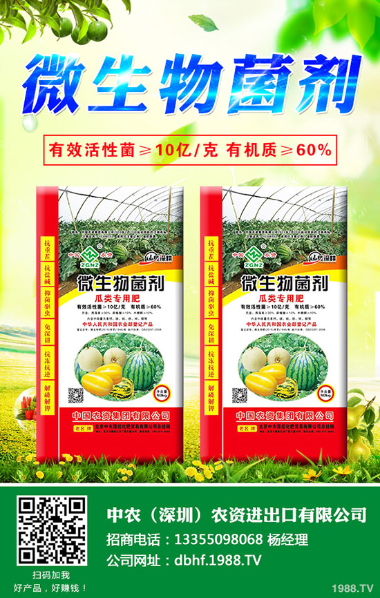 大白菜爛心是什么原因，大白菜爛心防治措施！